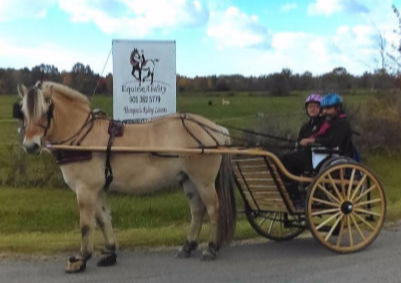 Equine Ability Niagara