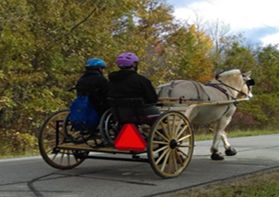 Equine Ability Niagara